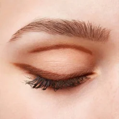 Eyeshadow 02. Exquisite Brown -The Beauty Box medias 1231