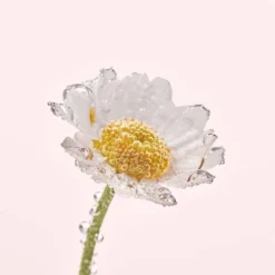 2 In 1 Soothing Makeup Removing & Tonic Milk - Pure Camomille 7 2 In 1 Soothing Makeup Removing & Tonic Milk - Pure Camomille -The Beauty Box medias 1266