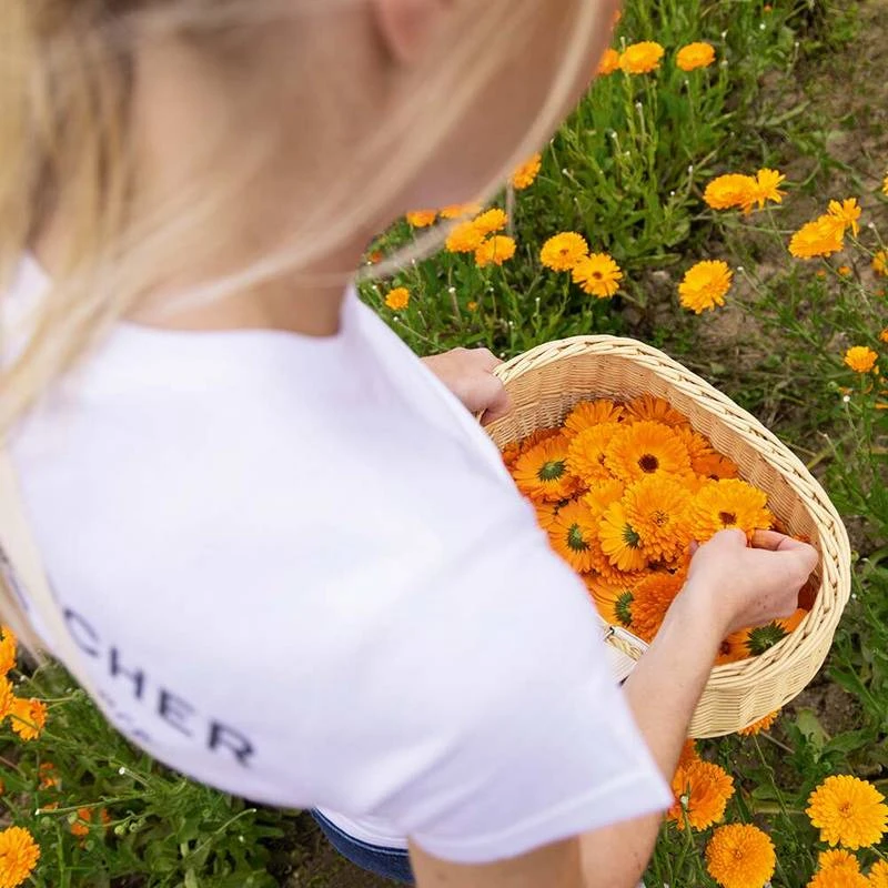 Smoothing Makeup Removing Milk - Pur Calendula 6 Smoothing Makeup Removing Milk - Pur Calendula - Image 6
