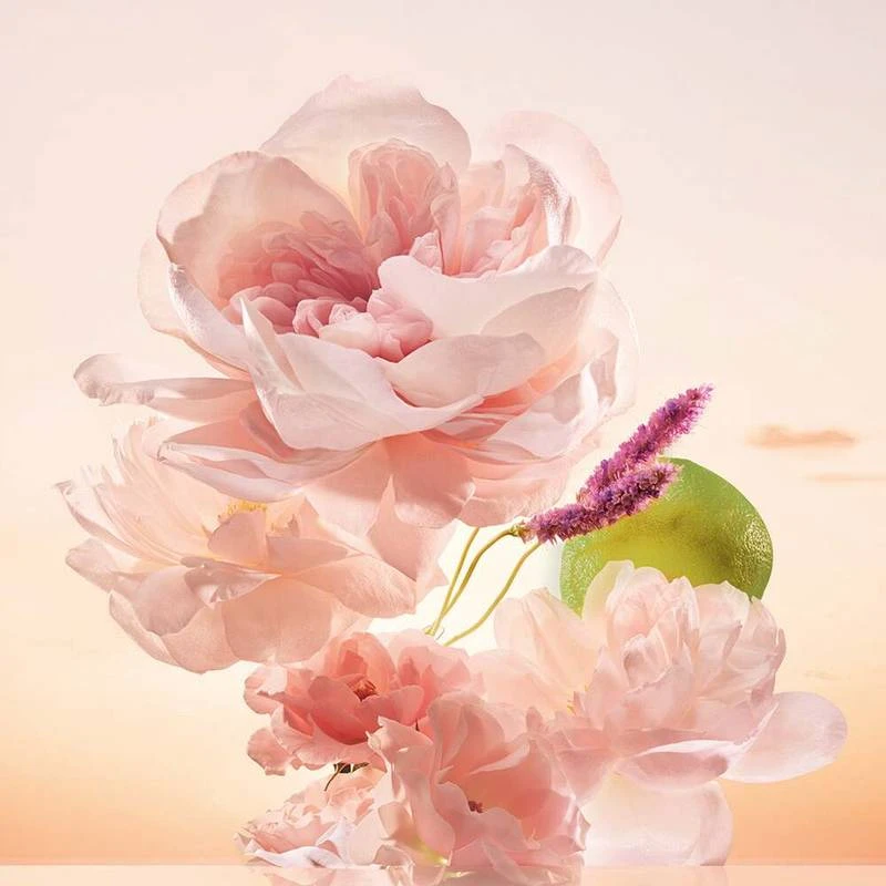 Perfumed Shower Gel - Comme Une Evidence 2 Perfumed Shower Gel - Comme Une Evidence - Image 2