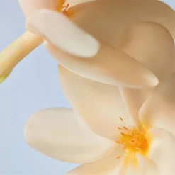 Monoï Gentle Hair And Body Wash - 400ml 9 Monoï Gentle Hair And Body Wash - 400ml -The Beauty Box medias 89