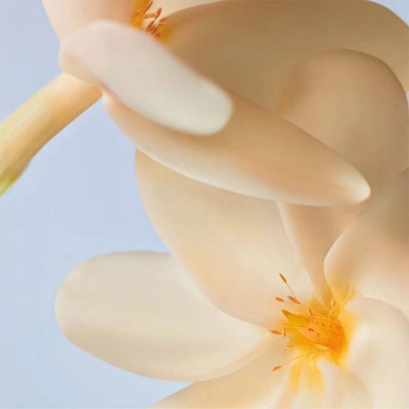 Monoï Gentle Hair And Body Wash - 400ml 3 Monoï Gentle Hair And Body Wash - 400ml - Image 3